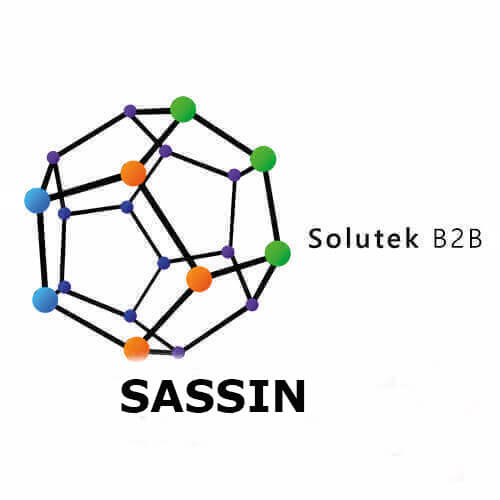 Sassin